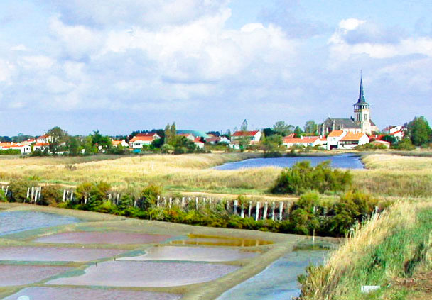 alentours étang Camping Vendée