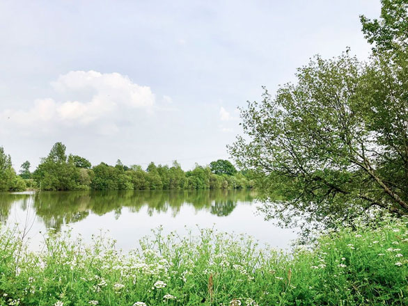 étang et verdure près camping Vendée