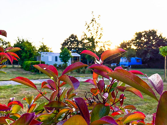 extérieur MH Confort camping Vendée