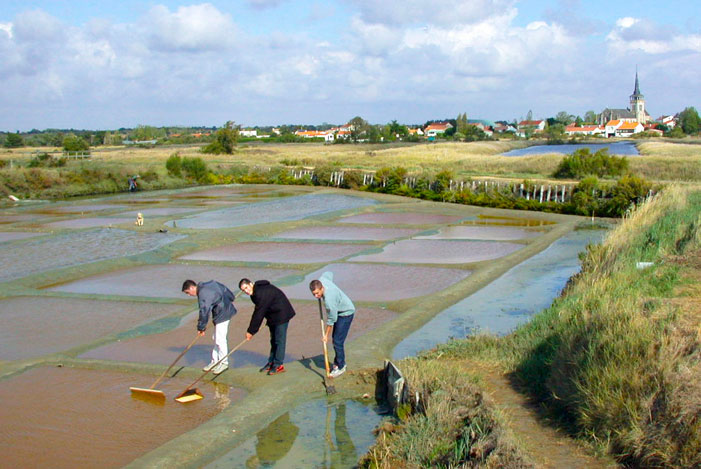 plantation près étang camping Vendée