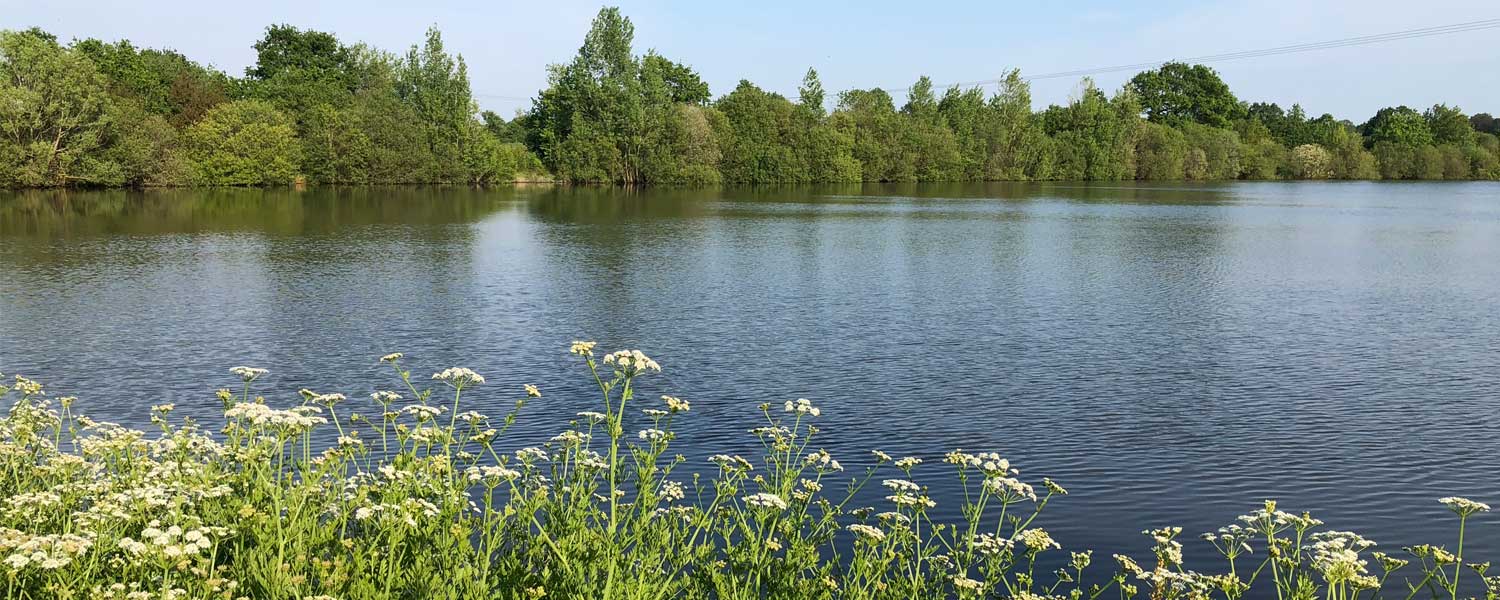 cadre verdure préservé à la campagne camping près de l’étang