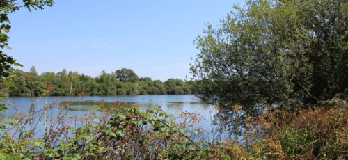Camping 3 étoiles en bord étang Vendée