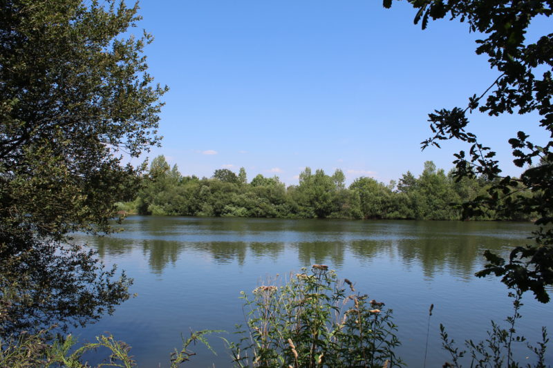 camping avec étang Vendée