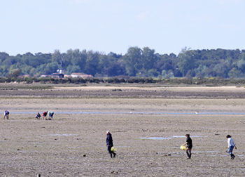 la peche à pied à Noirmoutier