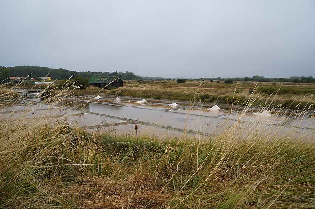 Les salines des Sables d'Olonne