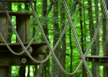 Accrobranche en Vendée