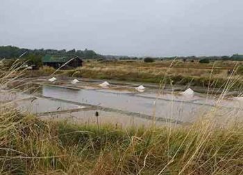 Balade Les salines des Sables d'Olonne