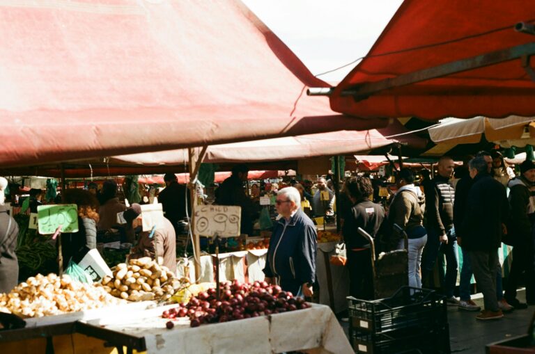 marché été camping au pre de l'étang vendée