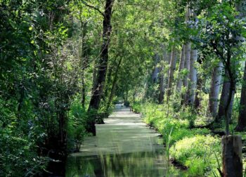 sejour nature camping au pré de l'étang vendee