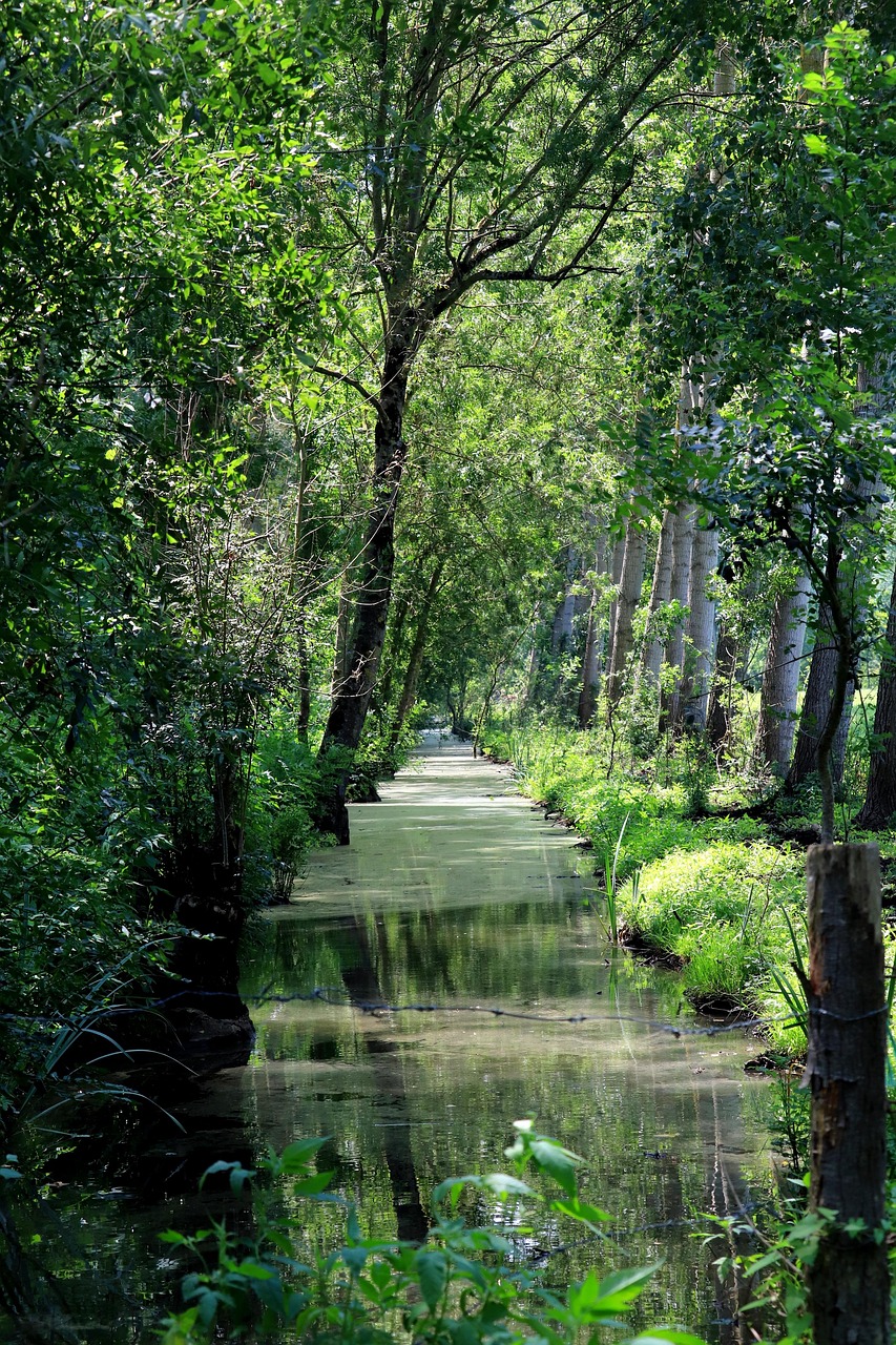 sejour nature camping au pré de l'étang vendee